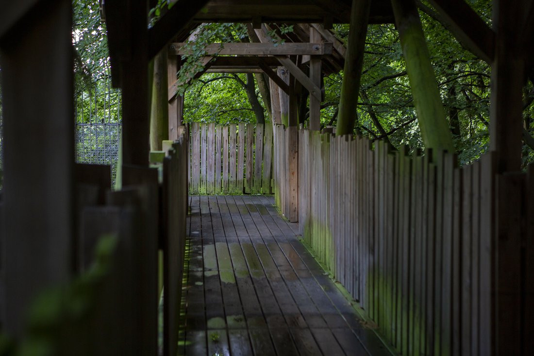 Wedding photography at The Treehouse Restaurant by Confetti Chasers